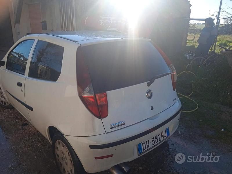 Usata Fiat Punto 2009 Bianco Utilitaria