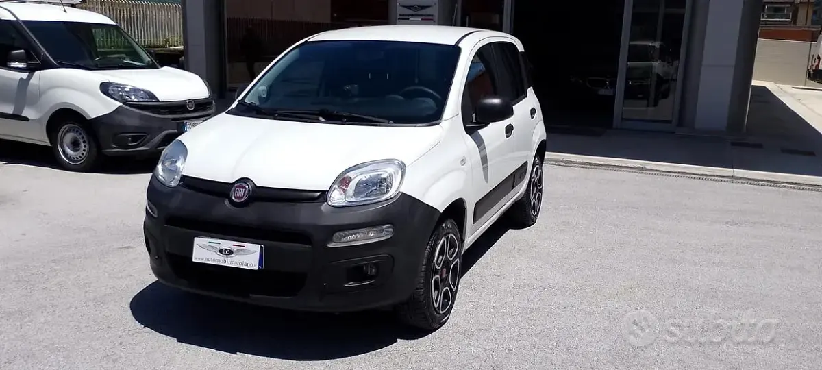 Usata Fiat Panda 4x4 Pop 85 CV (62 kW) 2021 Bianco Utilitaria