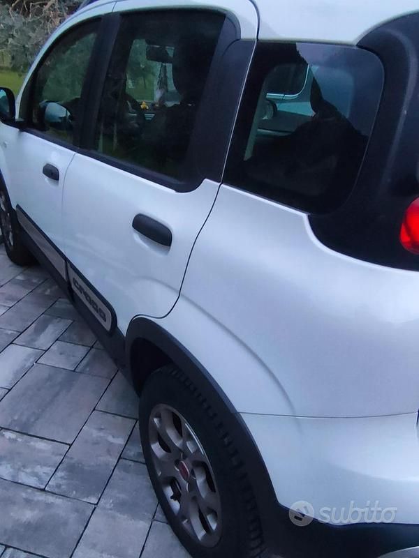 Usata Fiat Panda Cross Cross 95 CV (69 kW) 2015 Bianco Utilitaria