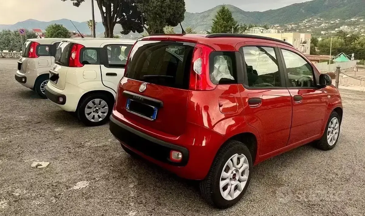 Usata Fiat Panda 75 CV (55 kW) 2015 Bianco Utilitaria