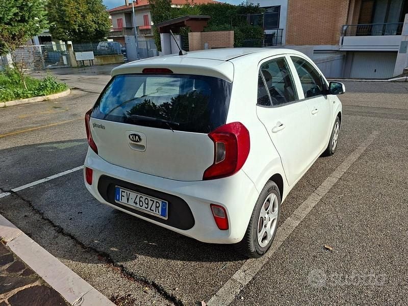 Usata Kia Picanto 63 CV (46 kW) 2018 Bianco Utilitaria