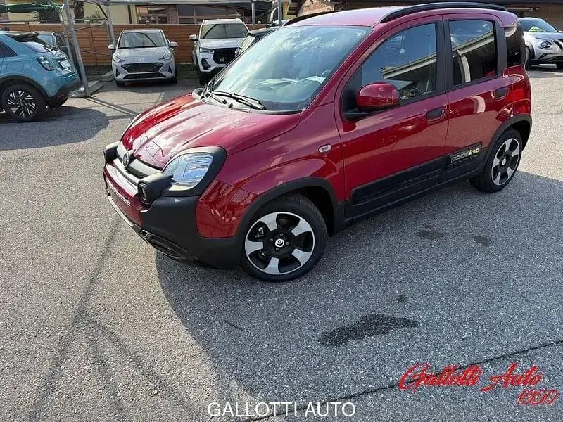 Nuova Fiat Panda Cross 69 CV (50 kW) 2025 Rosso Utilitaria