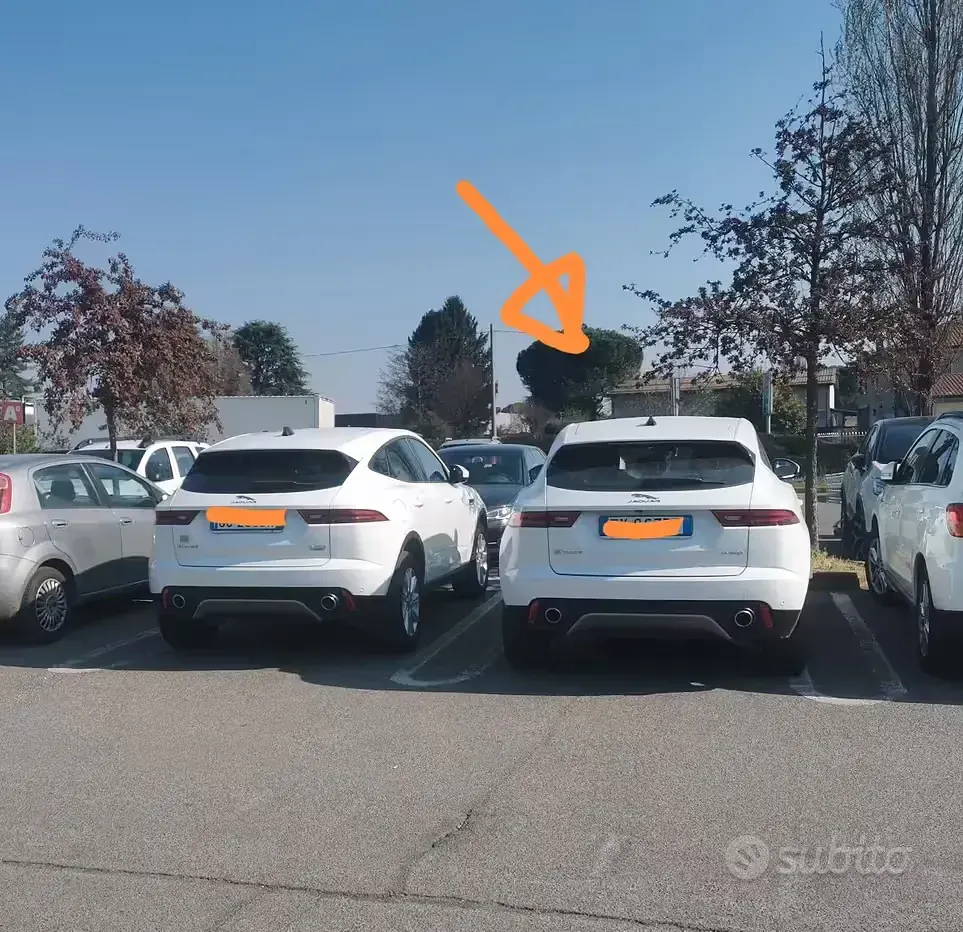 Usata Jaguar E-Pace R-Dynamic 150 CV (110 kW) 2019 Bianco SUV