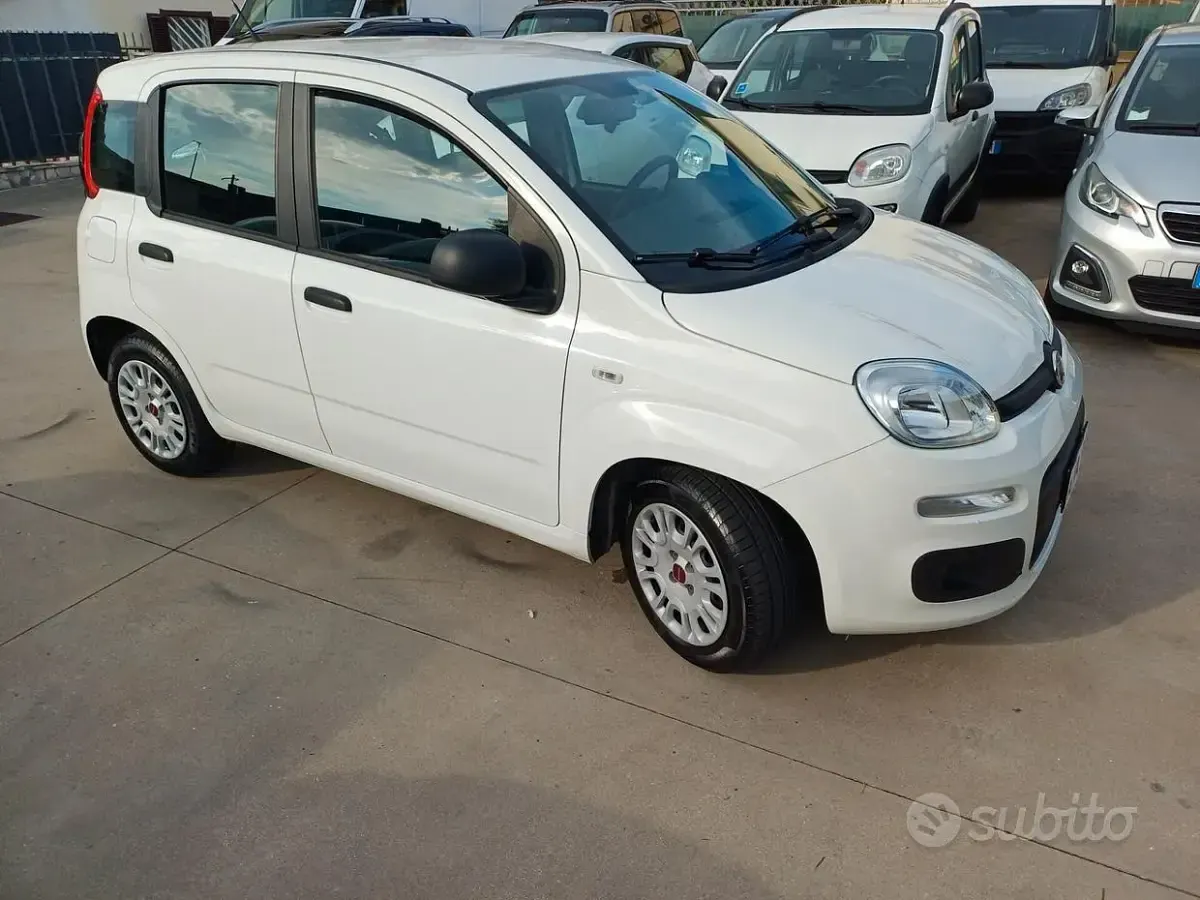 Usata Fiat Panda 95 CV (69 kW) 2019 Bianco Utilitaria
