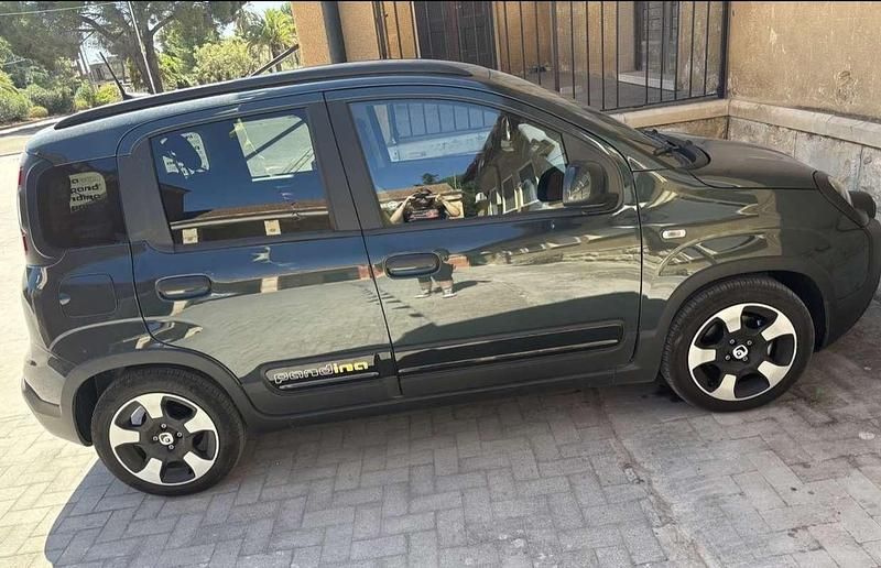 Usata Fiat Panda Icon 69 CV (50 kW) 2025 Verde Utilitaria