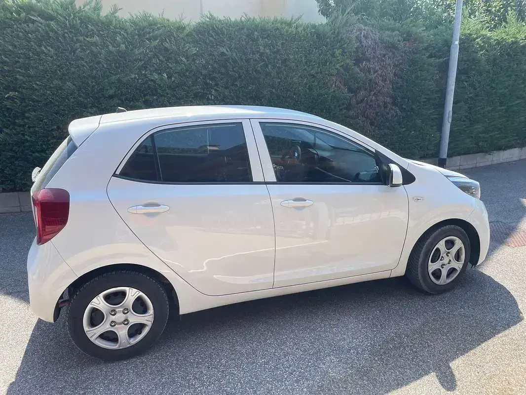 Usata Kia Picanto City 67 CV (49 kW) 2019 Bianco Utilitaria