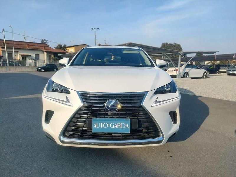 Usata Lexus NX300h Business Edition 155 CV (114 kW) 2019 Perlato SUV