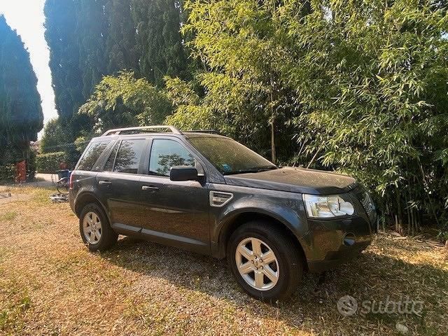 Usata Land Rover Freelander 2 160 CV (117 kW) 2009 Grigio SUV