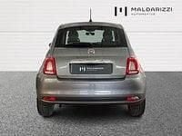 Usata Fiat 500 Club 70 CV (51 kW) 2023 Grigio Utilitaria