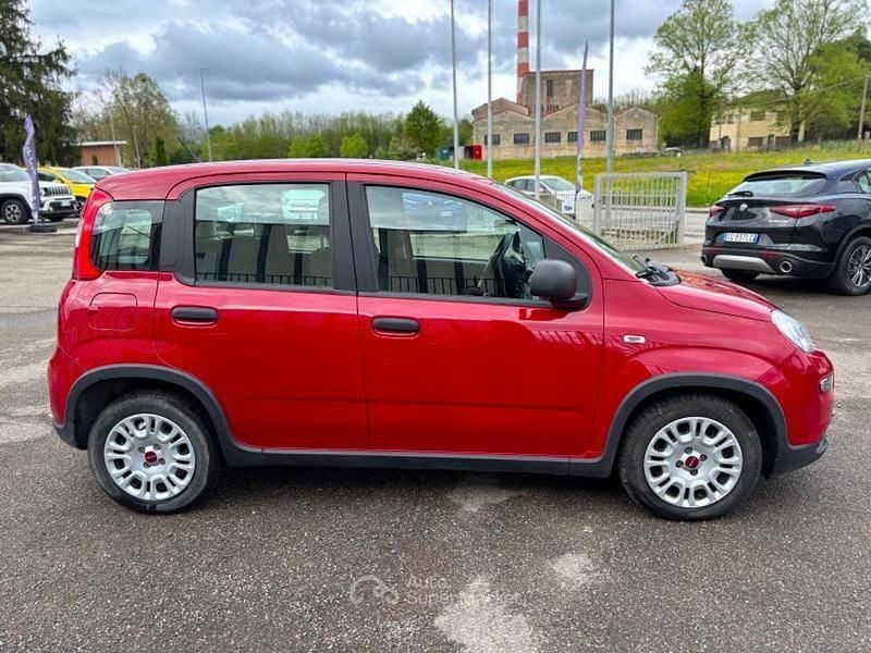 Usata Fiat Panda S 69 CV (50 kW) 2024 Rosso Utilitaria