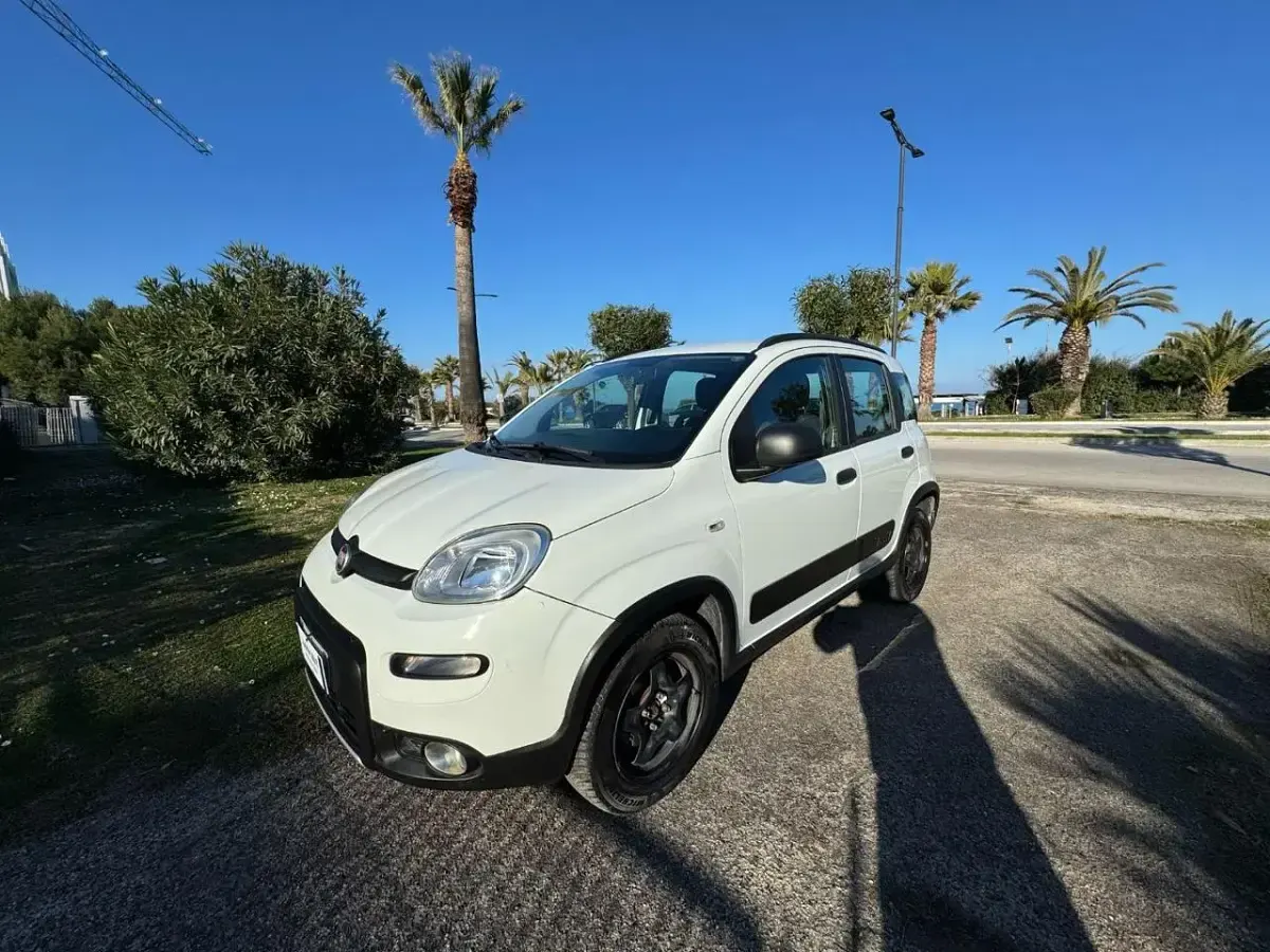 Usata Fiat Panda 4x4 S 85 CV (62 kW) 2019 Bianco Utilitaria