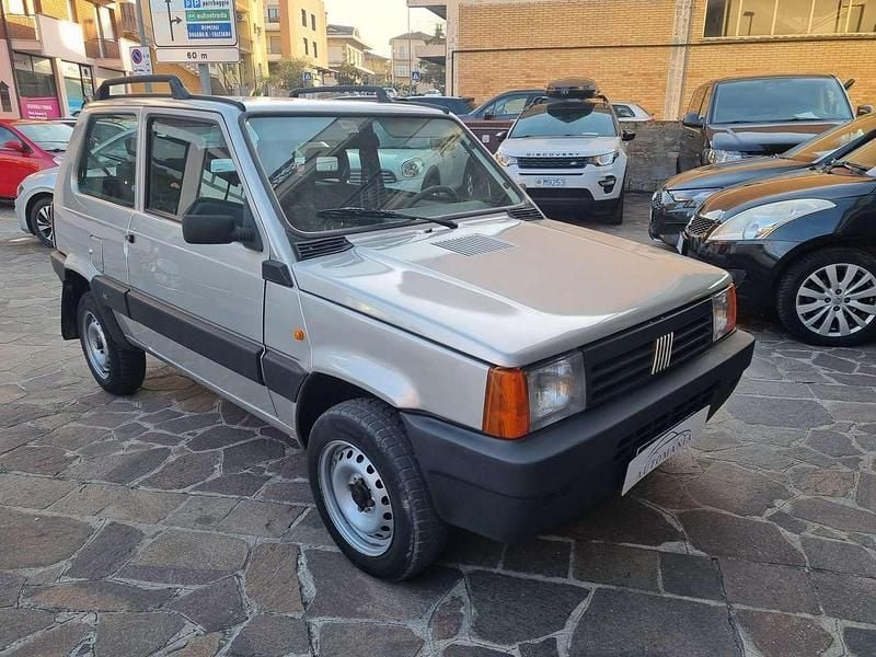 Usata Fiat Panda 4x4 Climbing 54 CV (39 kW) 2002 Argento Utilitaria
