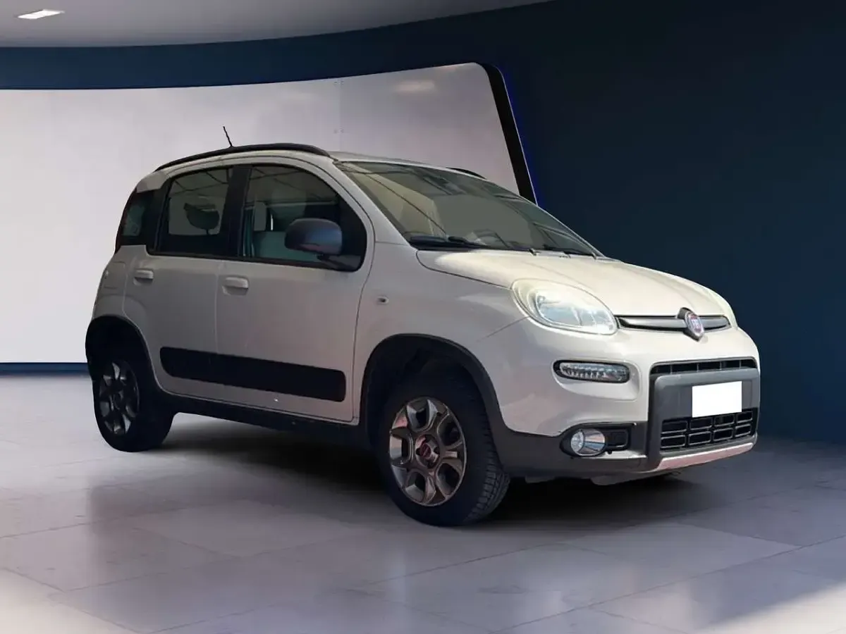Usata Fiat Panda 4x4 S 75 CV (55 kW) 2012 Beige Utilitaria