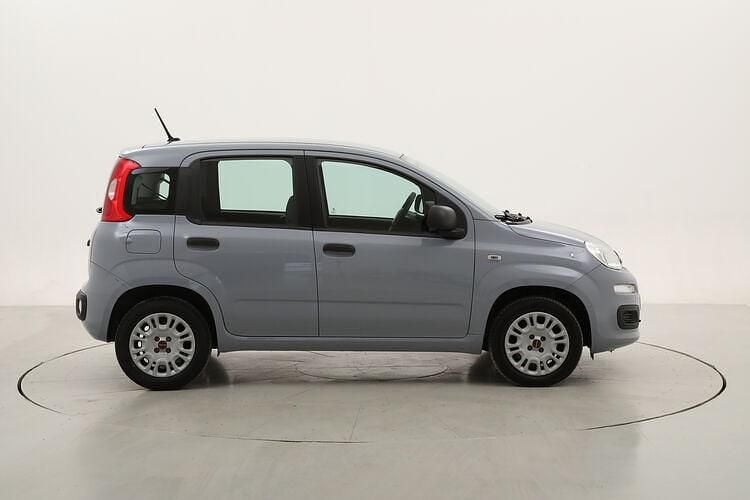 Usata Fiat Panda Easy 69 CV (50 kW) 2020 Utilitaria