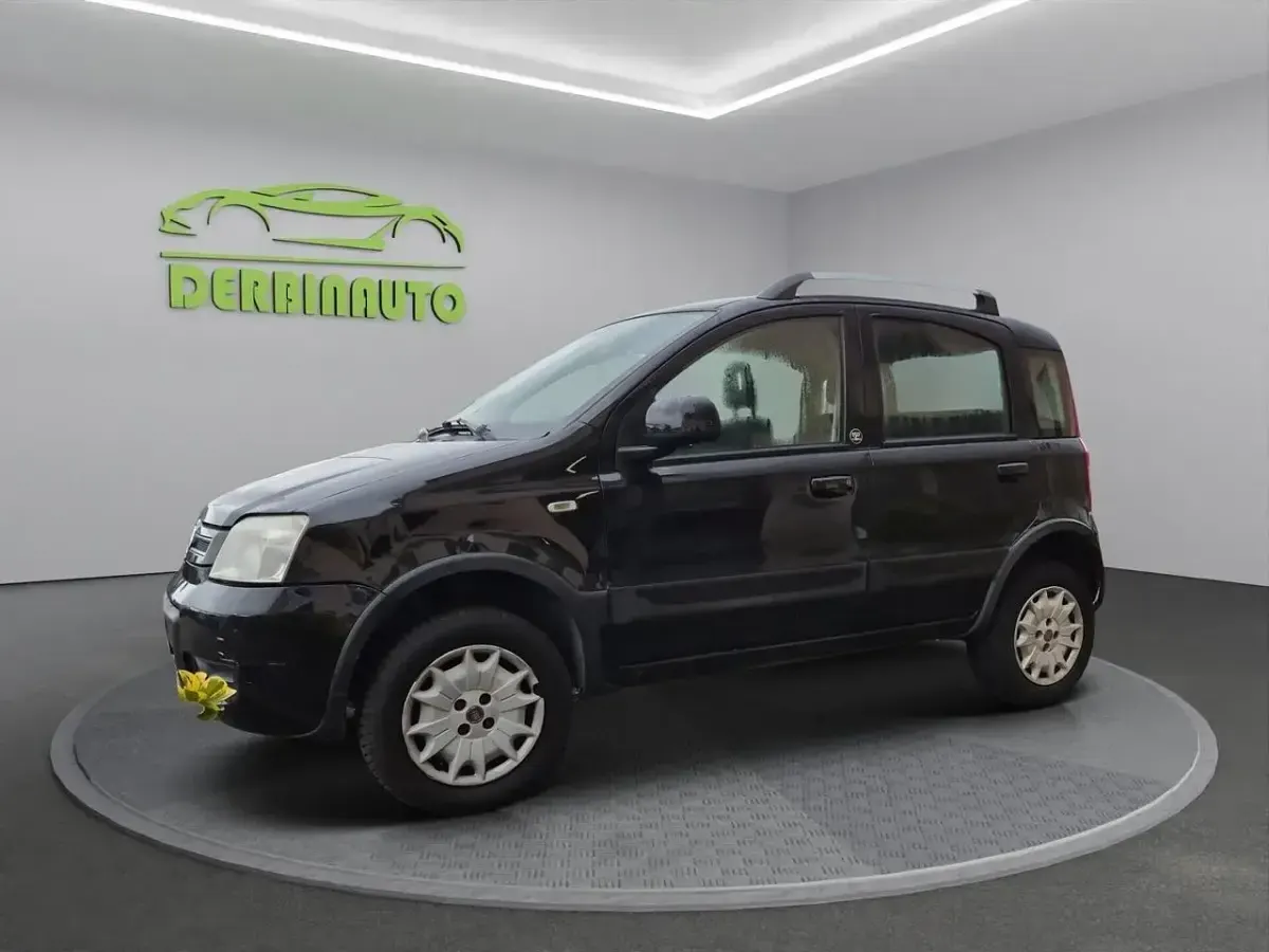 Usata Fiat Panda 4x4 Climbing 77 CV (56 kW) 2012 Nero Utilitaria