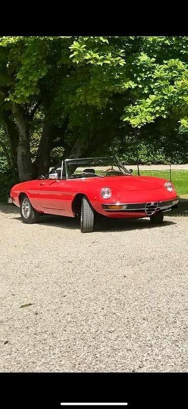 Usata Alfa Romeo Spider 88 CV (64 kW) 1977 Cabrio