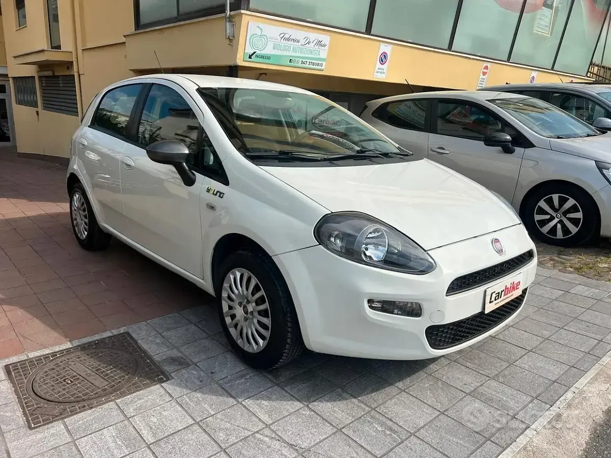 Usata Fiat Punto Young 77 CV (56 kW) 2014 Bianco Utilitaria
