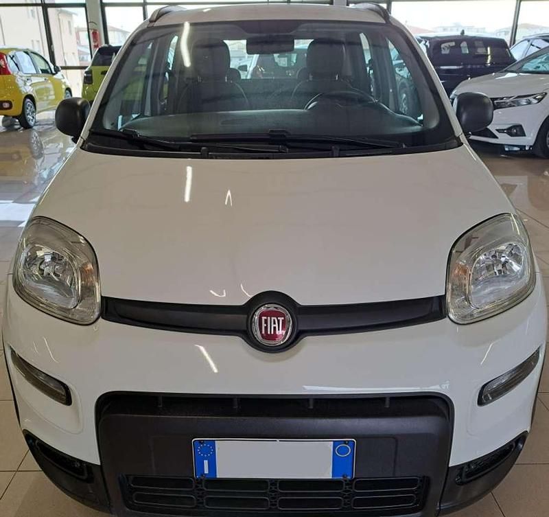 Usata Fiat Panda 4x4 Wild 86 CV (63 kW) 2019 Bianco gelato pastello extra Utilitaria