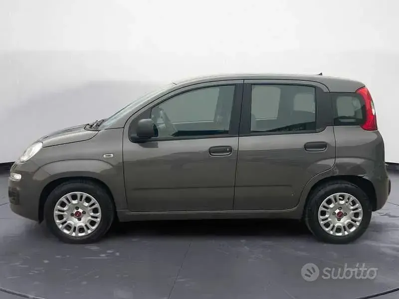 Usata Fiat Panda Easy 70 CV (51 kW) 2021 Grigio Utilitaria