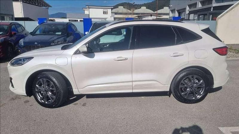 Usata Ford Kuga ST-Line X 224 CV (164 kW) 2023 Bianco SUV