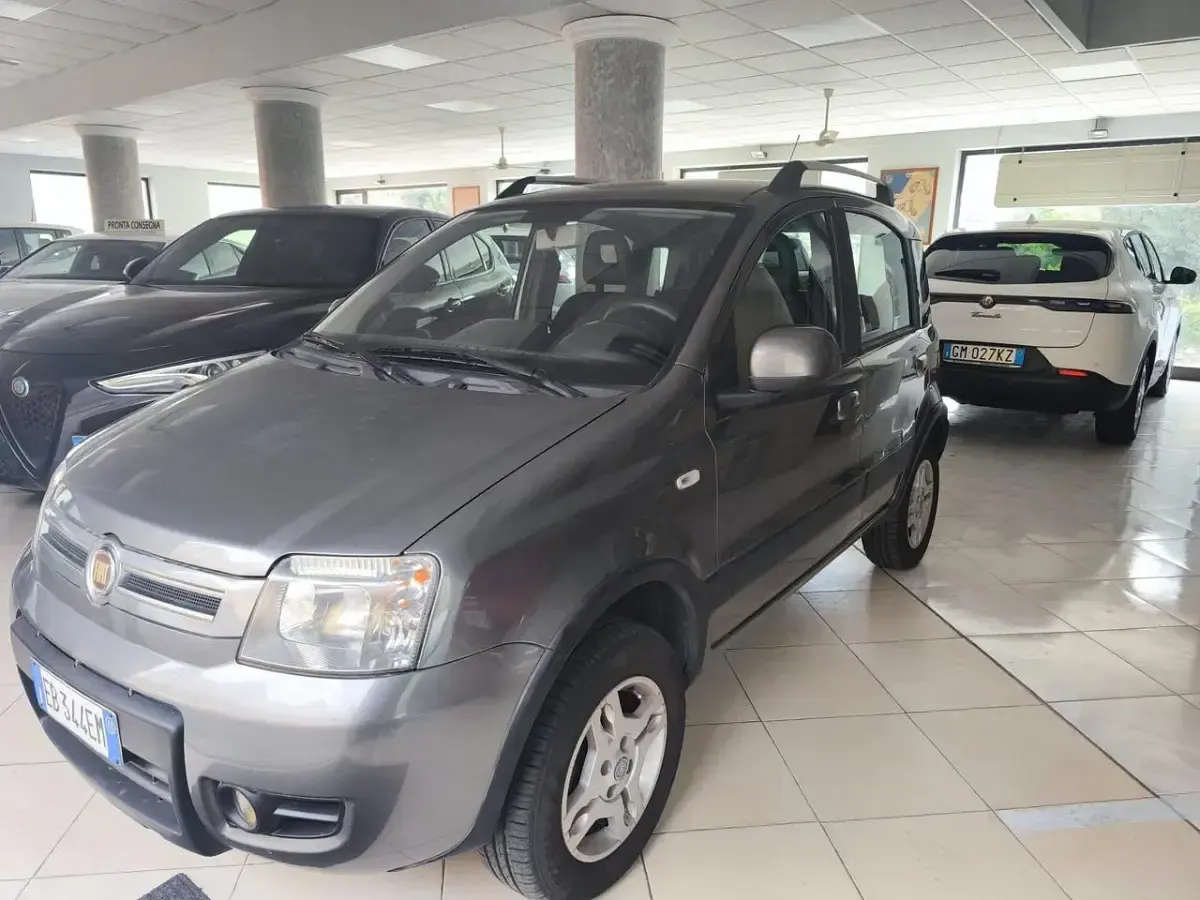 Usata Fiat Panda 4x4 Climbing 75 CV (55 kW) 2011 Grigio Utilitaria