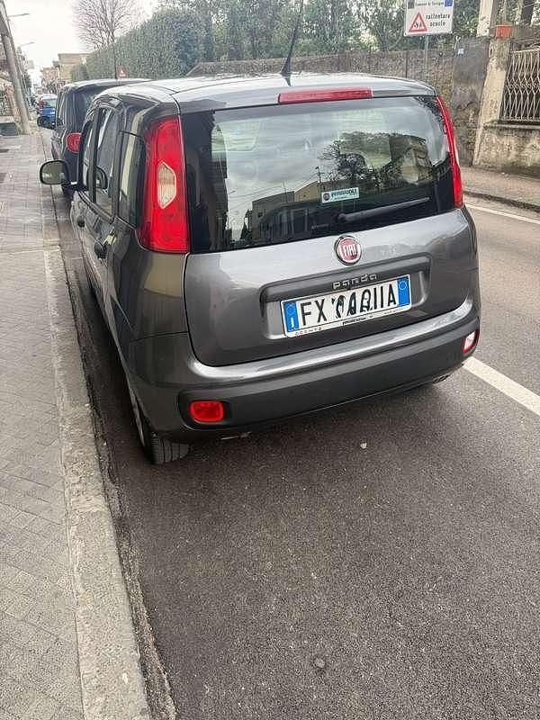 Usata Fiat Panda Easy 69 CV (50 kW) 2019 Grigio Utilitaria