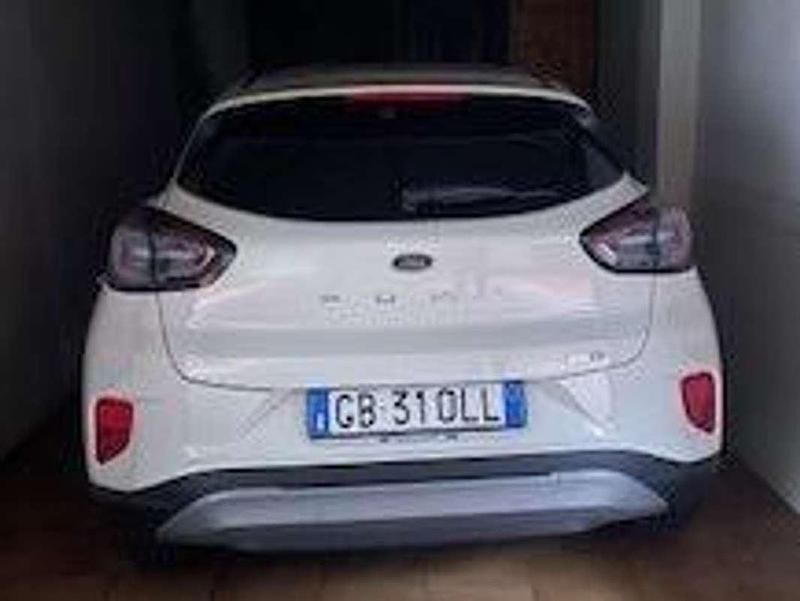 Usata Ford Puma ST-Line 125 CV (91 kW) 2020 Bianco SUV