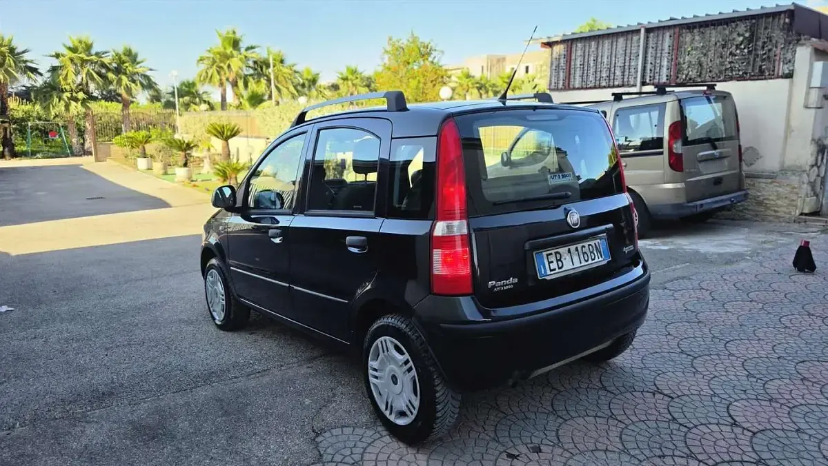 Usata Fiat Panda Dynamic 60 CV (44 kW) 2010 Utilitaria