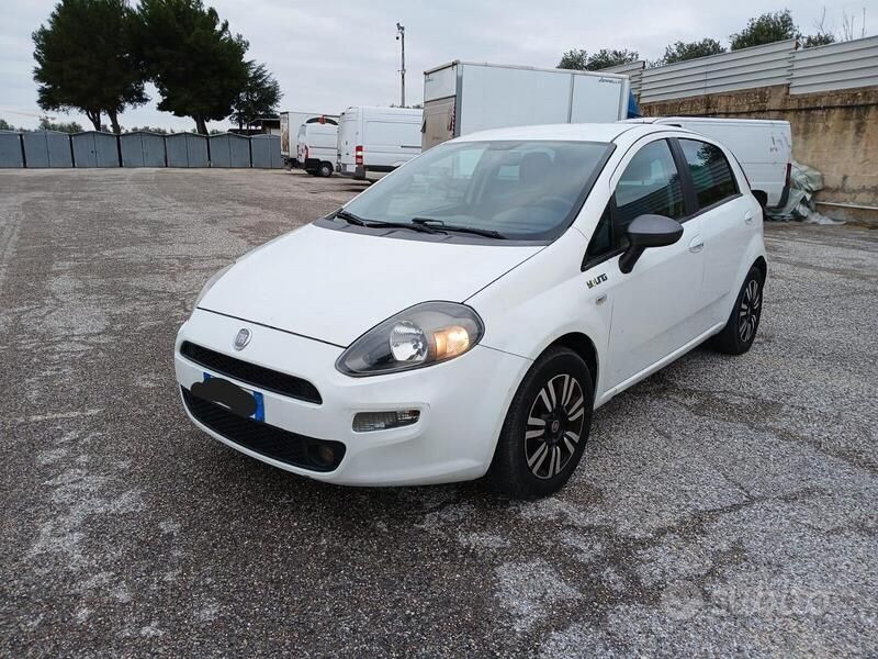 Usata Fiat Punto Lounge 75 CV (55 kW) 2014 Bianco Utilitaria