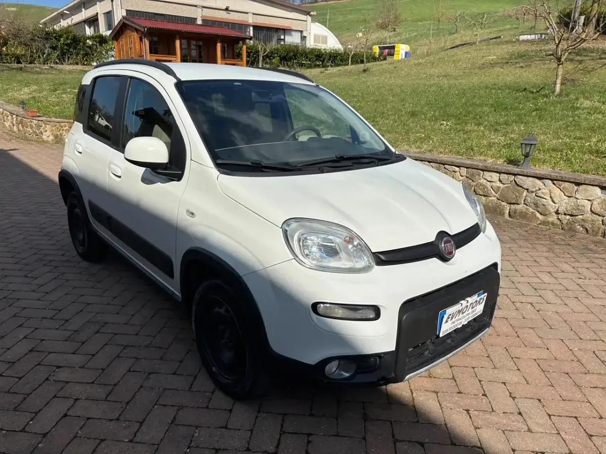 Usata Fiat Panda 4x4 Lounge 75 CV (55 kW) 2015 Bianco Utilitaria