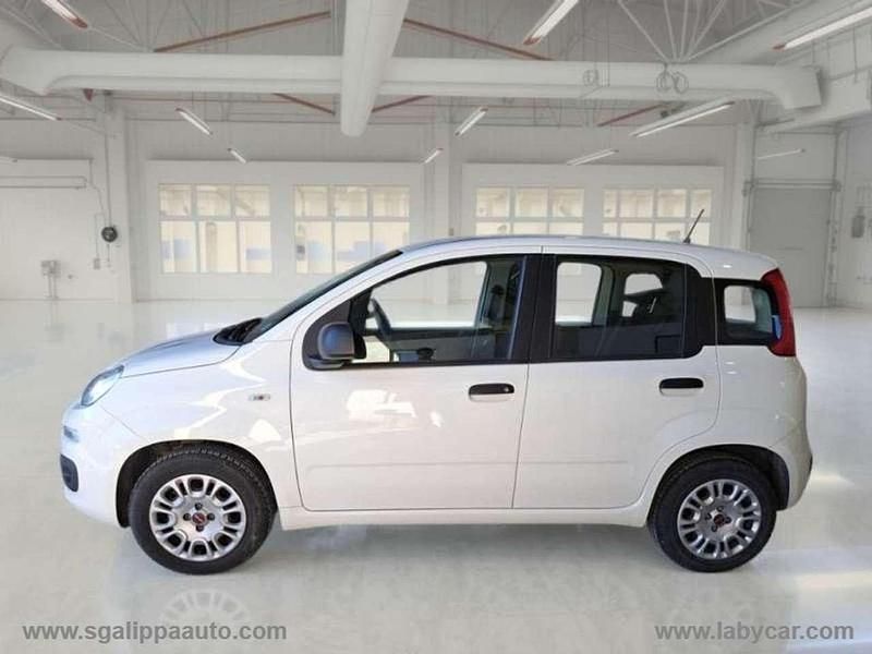 Usata Fiat Panda Easy 69 CV (50 kW) 2020 Bianco Utilitaria