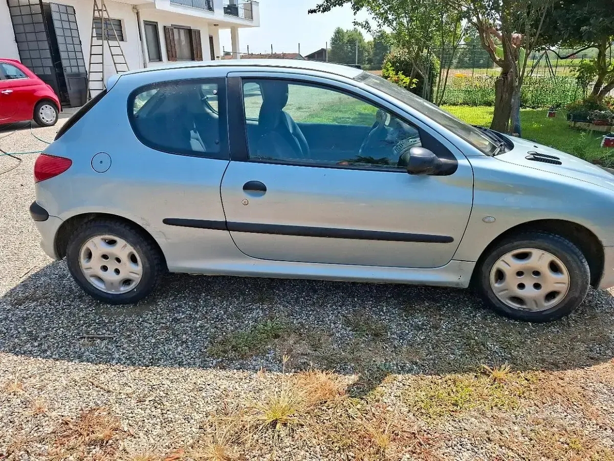Usata Peugeot 206 75 CV (55 kW) 2002 Bluazzurro Utilitaria