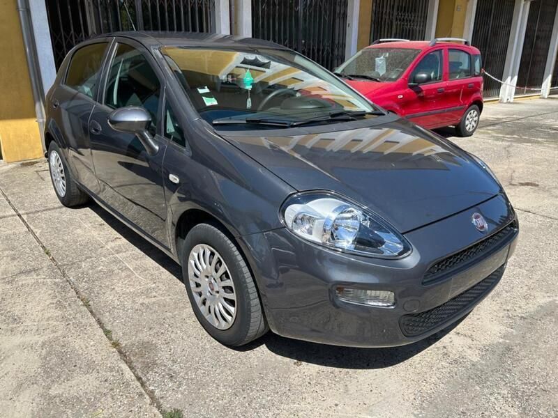 Usata Fiat Punto Young 69 CV (50 kW) 2017 Grigio Utilitaria