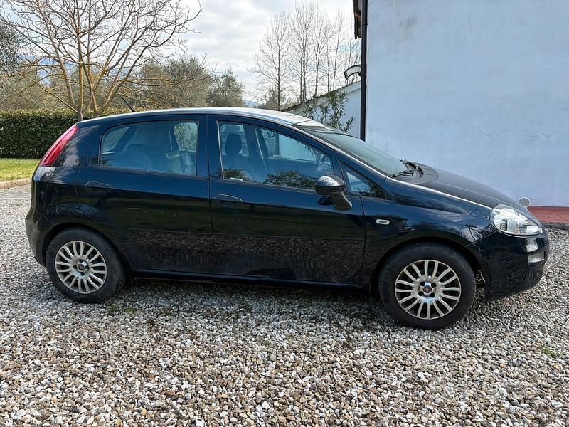 Usata Fiat Punto 77 CV (56 kW) 2017 Blu Utilitaria