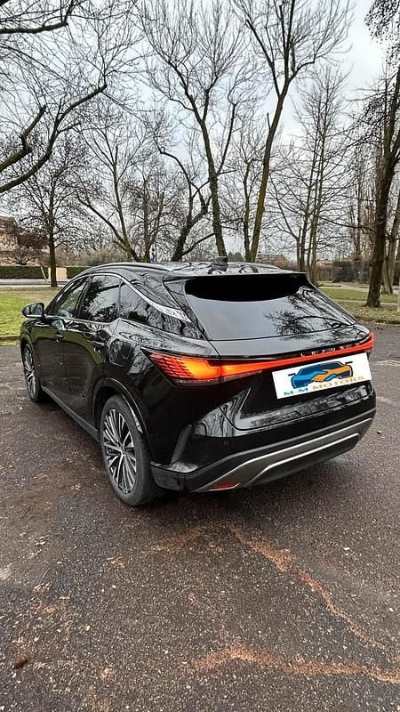 Usata Lexus RX450h+ Executive Line 184 CV (135 kW) 2023 Viola SUV