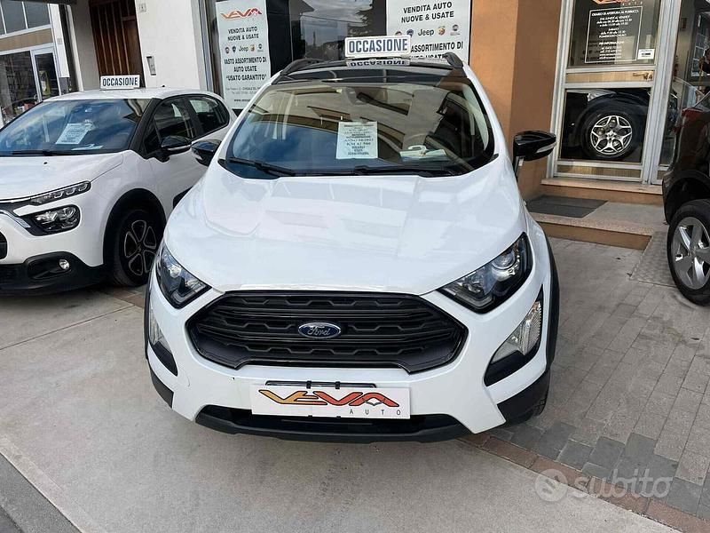Usata Ford Ecosport Active 125 CV (91 kW) 2022 Bianco SUV