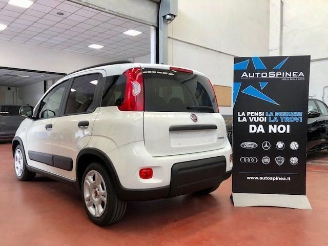 Usata Fiat Panda S 71 CV (52 kW) 2023 Bianco Utilitaria