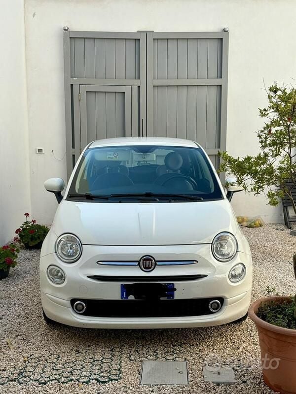 Usata Fiat 500 Pop 69 CV (50 kW) 2019 Bianco Utilitaria