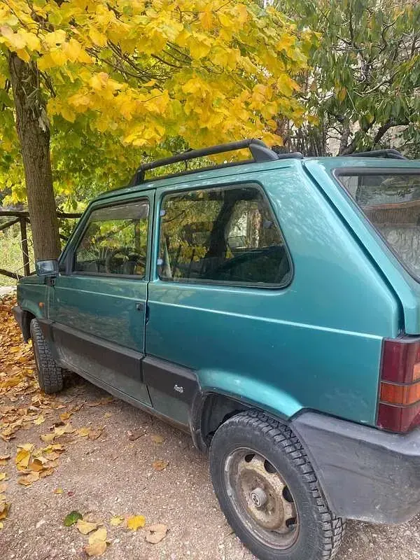 Usata Fiat Panda 4x4 Trekking 54 CV (39 kW) 2002 Utilitaria