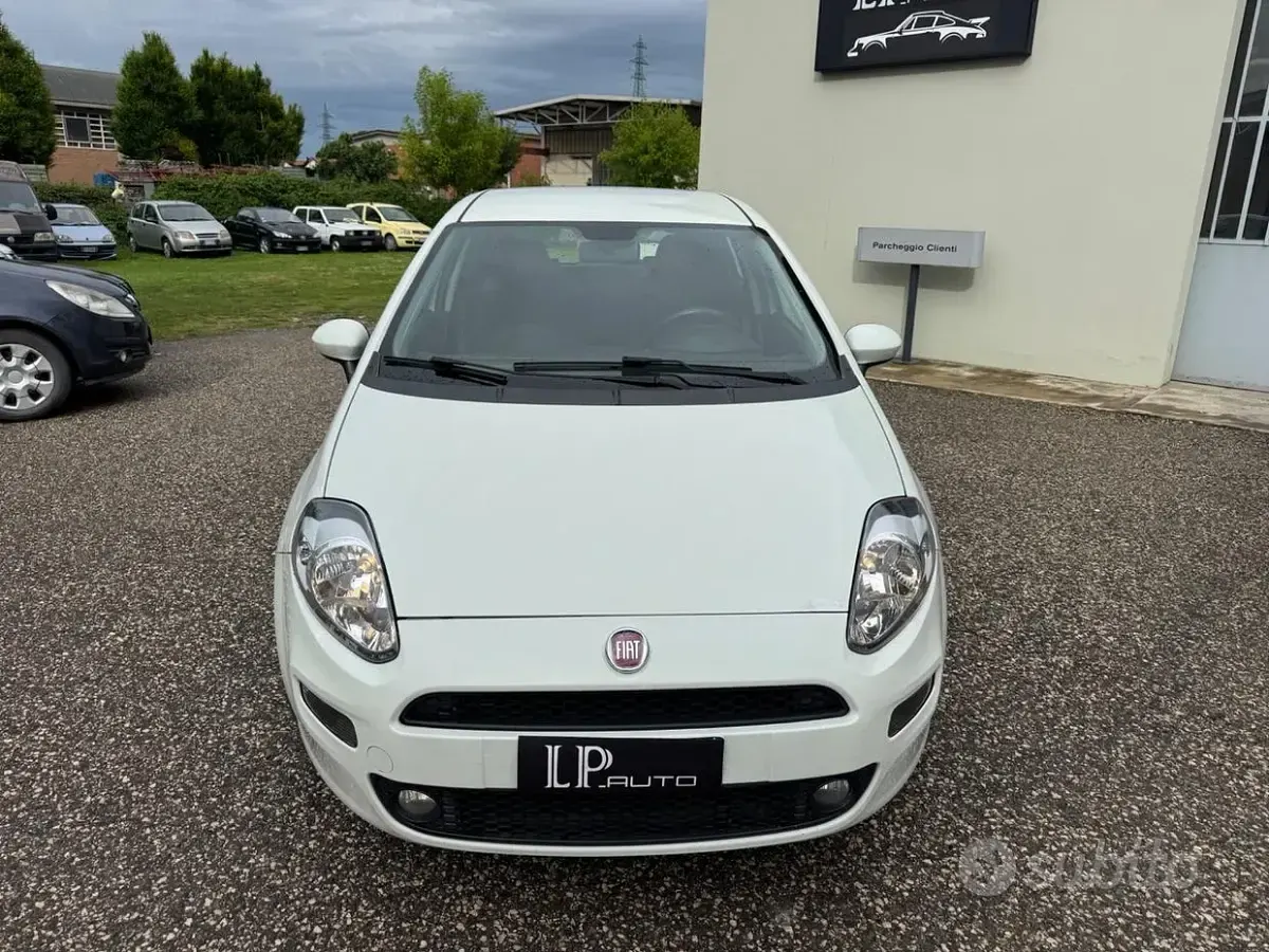 Usata Fiat Punto Easy 75 CV (55 kW) 2015 Bianco Utilitaria