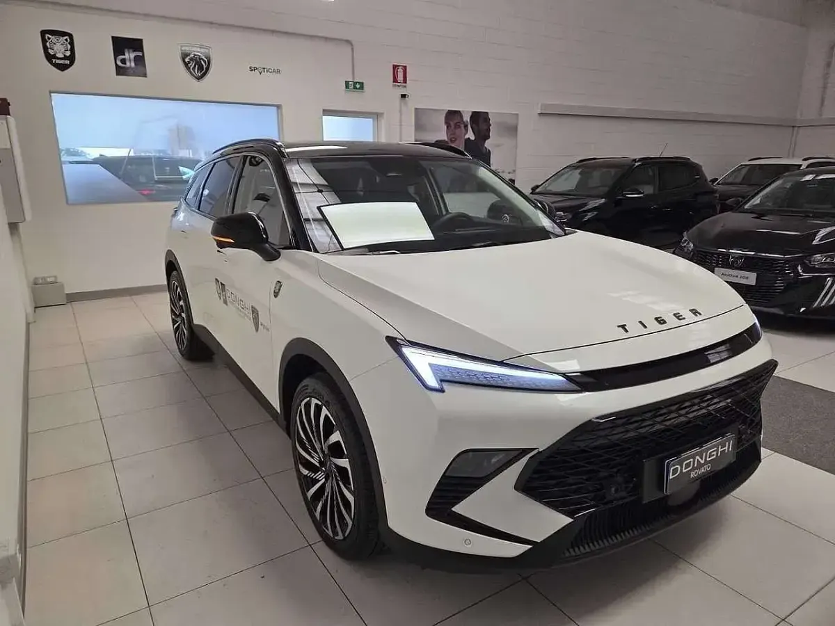 Usata Tiger Six 177 CV (130 kW) 2025 Optic white SUV