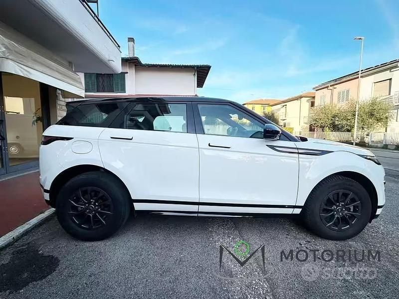 Begagnad Land Rover Range Rover evoque R-Dynamic 150 HK (110 kW) 2019 Vit SUV