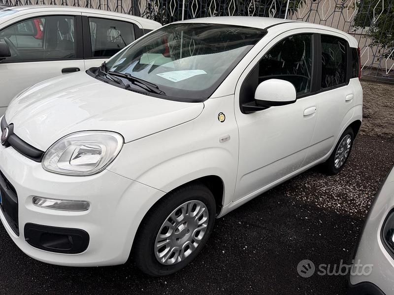 Usata Fiat Panda Easy 69 CV (50 kW) 2018 Bianco Utilitaria