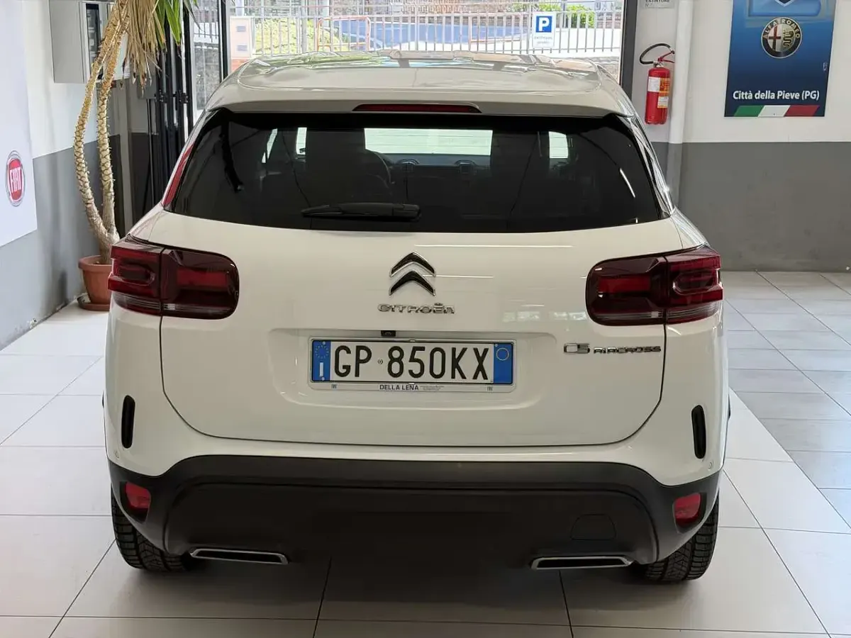 Usata Citroën C5 Aircross Feel 131 CV (96 kW) 2023 Bianco SUV