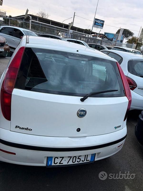 Usata Fiat Punto 2005 Bianco Utilitaria