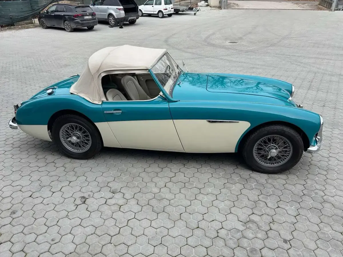 Usata Austin Healey 3000 MK I 131 CV (96 kW) 1959 Verde Cabrio