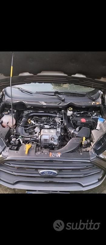 Usata Ford Ecosport ST-Line 125 CV (91 kW) 2022 Grigio SUV