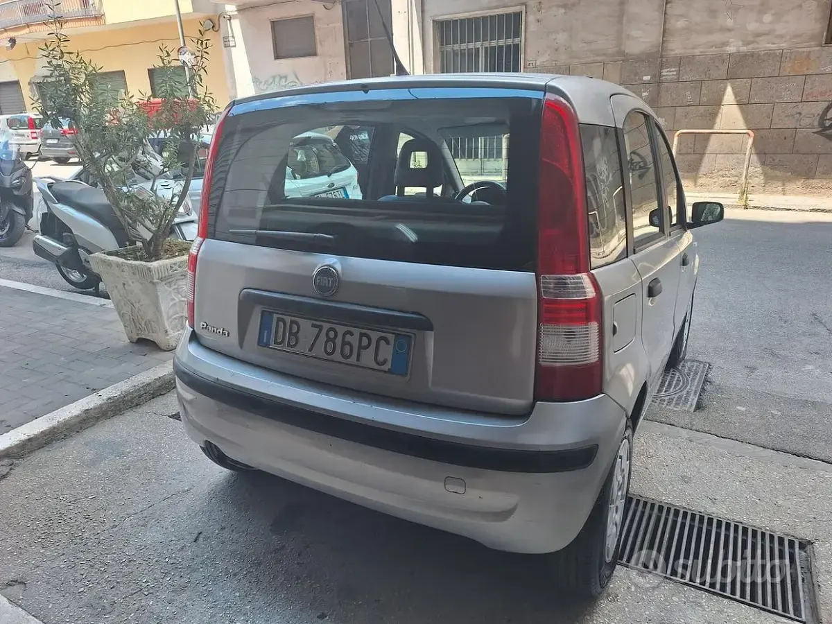 Usata Fiat Panda Active 54 CV (39 kW) 2006 Grigio Utilitaria