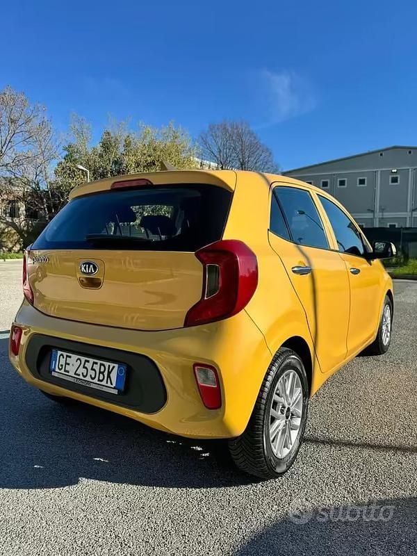 Usata Kia Picanto X-Line 67 CV (49 kW) 2021 Giallo Utilitaria