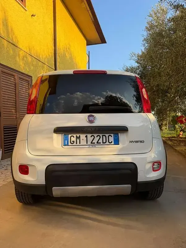 Usata Fiat Panda Cross Cross 69 CV (50 kW) 2022 Utilitaria